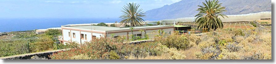 Finca auf El Hierro zum Kaufen Finca auf El Hierro zum Kaufen