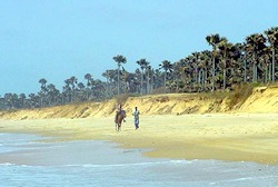 Strand in Gambia nah dem Hotel