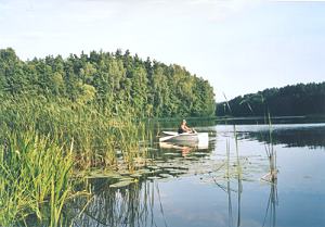 Grundstck am See kaufen in Witrogoszcz-Kolonia Polen
