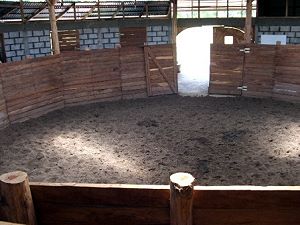 Pferdehaltung in Costa Rica