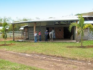 Ranch Pferderanch in Costa Rica