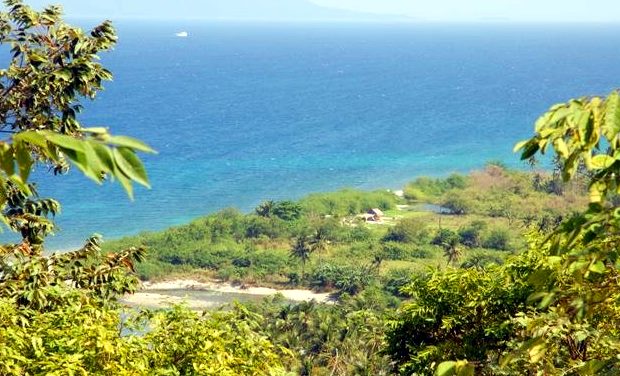 Ausblick vom Grundstck der Bungalowanlage auf Mindoro am Meer der Philippinen