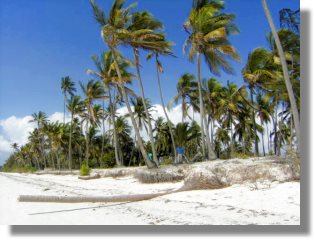 Sansibar Strandgrundstck zum Kaufen