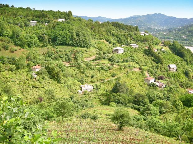 Batumi Georgien Grundstck in Txilnari Tkhilnari zum Kaufen