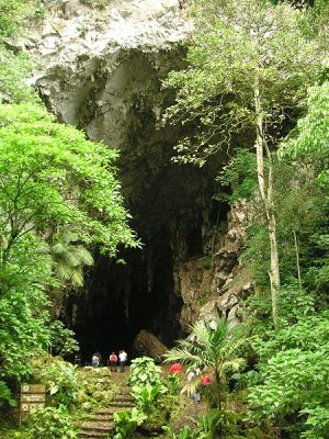 Cueva del Guacharo bei Caripe
