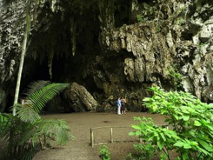 Cueva del Guacharo