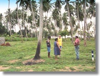 Marawila Grundstck kaufen auf Sri Lanka