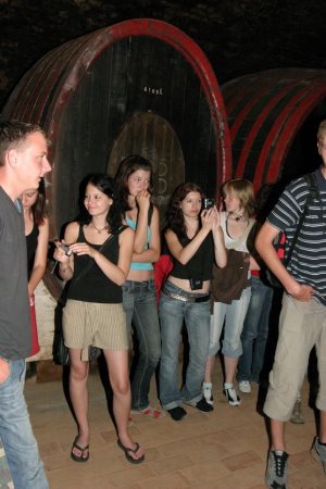 Gste im Weinkeller der Csarda in Ungarn