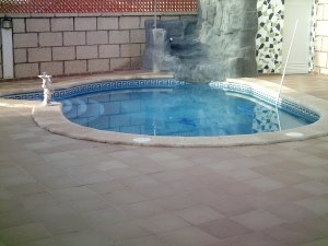 Pool vom Ferienhaus in Canelaria