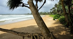 Strand vor dem Hotel in Sri Lanka