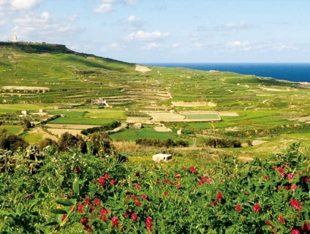 Ausblick Meerblick der Eigentumswohnungen auf Gozo Malta