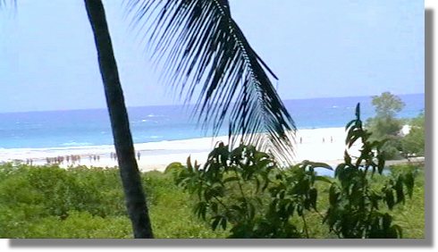 Grundstck am Tiwi Beach in Kenia kaufen vom Immobilienmakler