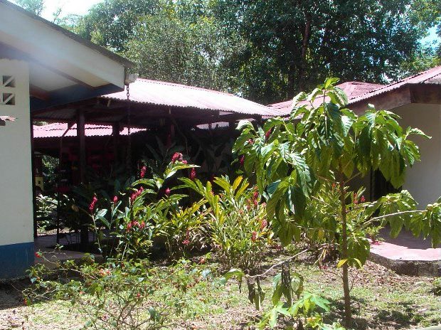 Camp in Costa Rica
