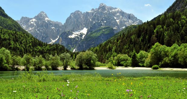 Landschaft nah dem Baugrundstck in Kranjska Gora von Slowenien