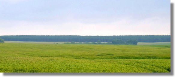Acker Ackerland in Lebus Grundstck fr Landwirtschaft