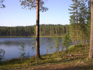 Grundstck am See in Finnland