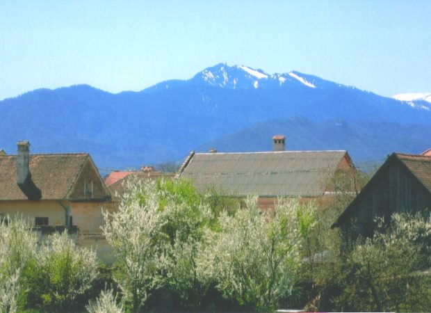 Ausblick vom Wohnhaus in die Berge in Sanpetru