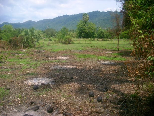 Bauland auf Koh Samui