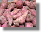 Landwirtschaft fr Skartoffeln in Nigeria