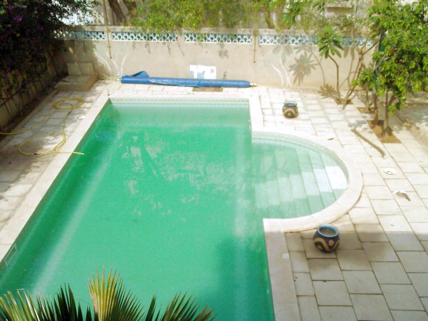 Pool vom Ferienhaus in Somone Senegal