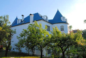 Einfamilienhaus Villa in Smederevo Serbien