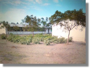 Hhnerfarm bei Bagamoyo
