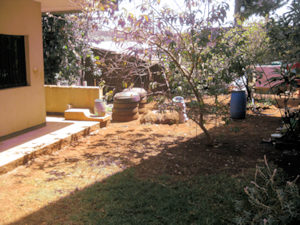 Grundstck Garten vom Ferienhaus Wohnhaus in Bahir Dar thiopien