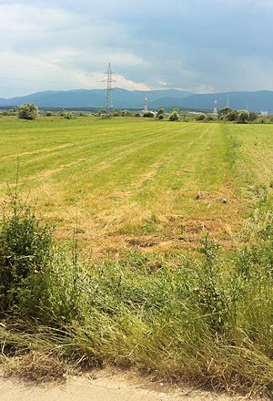 Rumnien Ackerland bei Schellenberg zum Kaufen