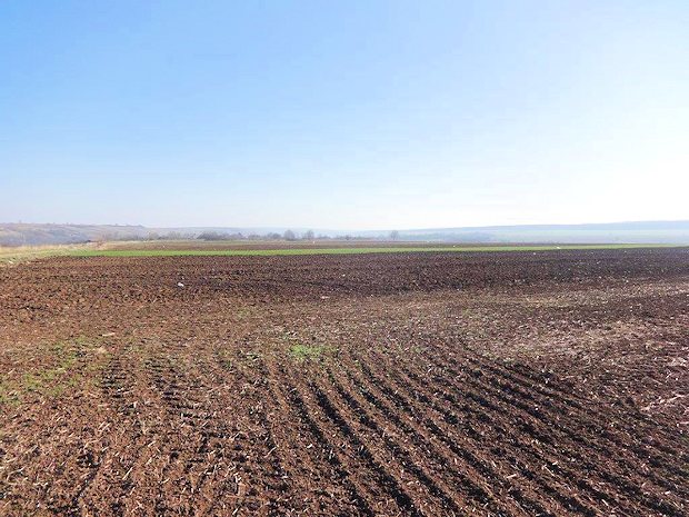 Agrarland zur Pacht im Kreis Dolj von Rumnien