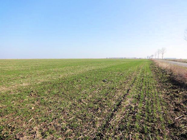 Pachtland Agrarland in Rumnien