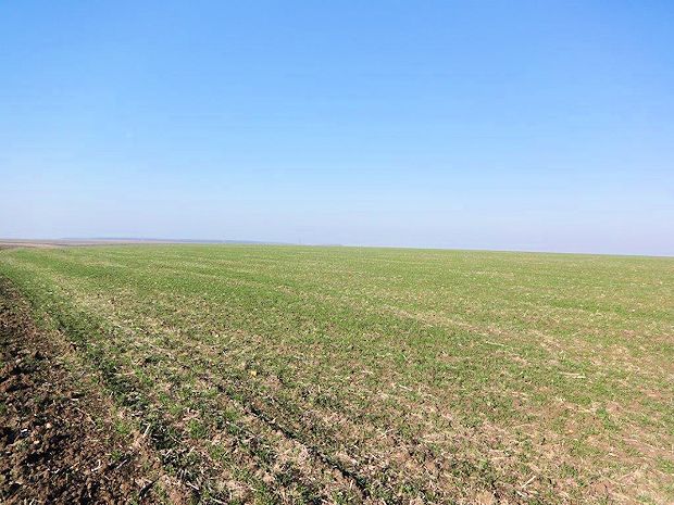 Farmland pachten in Rumnien