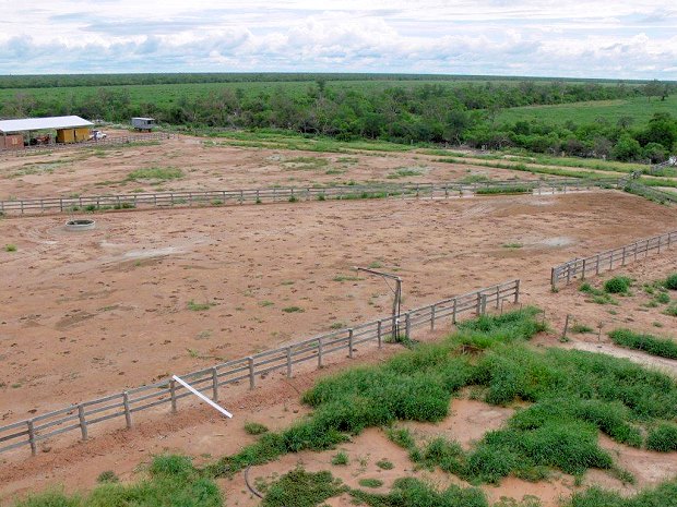 Ranch Rinderfarm im Chaco Paraguay