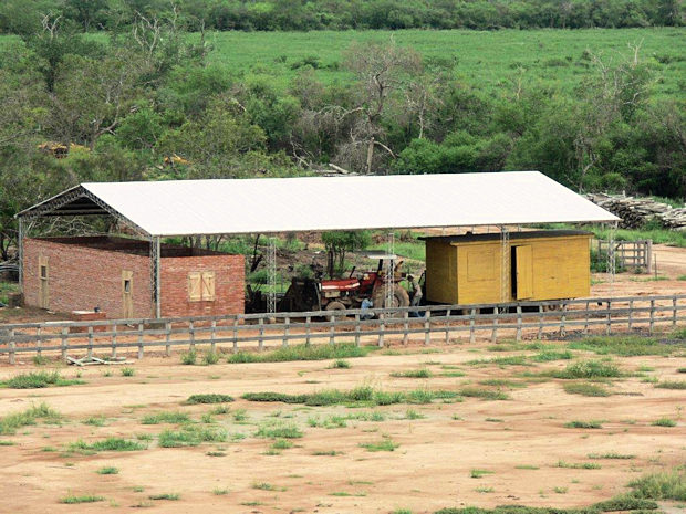 Rinderfarm Landwirtschaft in Paraguay
