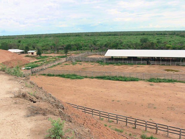 Corral der Rinderfarm auf dem Grundstck in Boqueron Paraguay