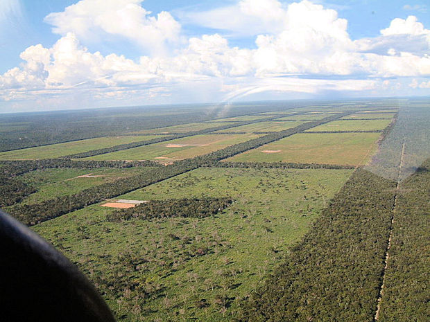 Grundstcke fr Landwirtschaft im Chaco Paraguay