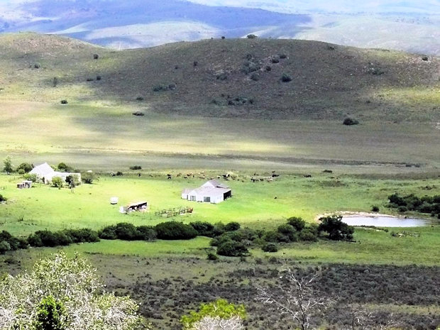 Game Reserve in Eastern Cape