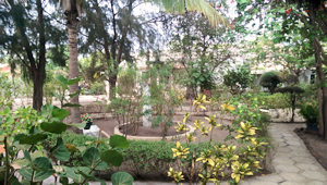 Garten vom Wohnhaus