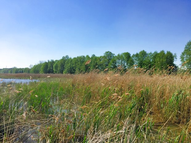 Baugrundstck am Jezioro Bledno in Polen