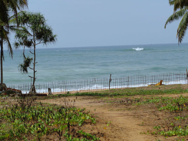 Bauland am Meer in Sri Lanka