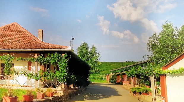 Weingut mit Weinproduktion in Rumnien