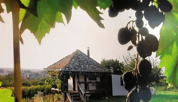 Haus zum Verkosten der Weine vom Weingut