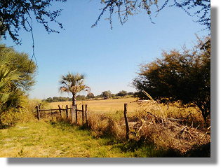 Farm bei Maun in Botswana zum Kaufen vom Immobilienmakler