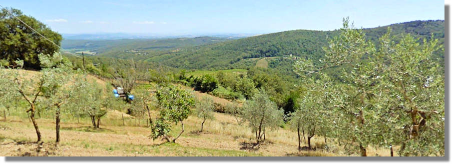 Agrarland Grundstcke fr Landwirtschaft in Italien kaufen vom Immobilienmakler