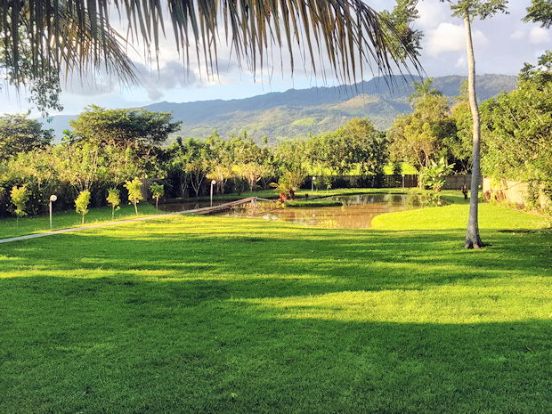 Garten mit Teich vom Ferienhaus in Moyobamba Peru