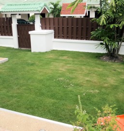 Vorgarten vom Ferienhaus Villa im Siam Place Pattaya