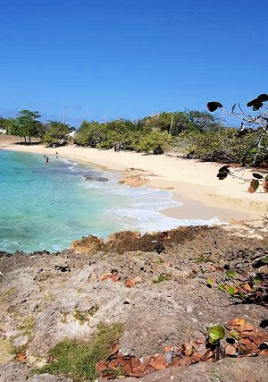 Strand angrenzend an das Baugrundstck in Jamaika