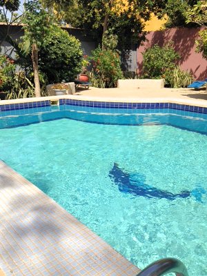 Swimming Pool vom Wohnhaus