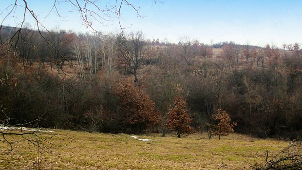Farmland Agrarland im Kreis Cluj Siebenbrgen Rumnien zum Kaufen