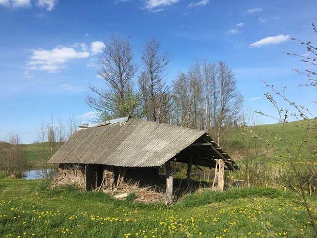 Holzhaus mit Altsauna auf dem Grundstck am See