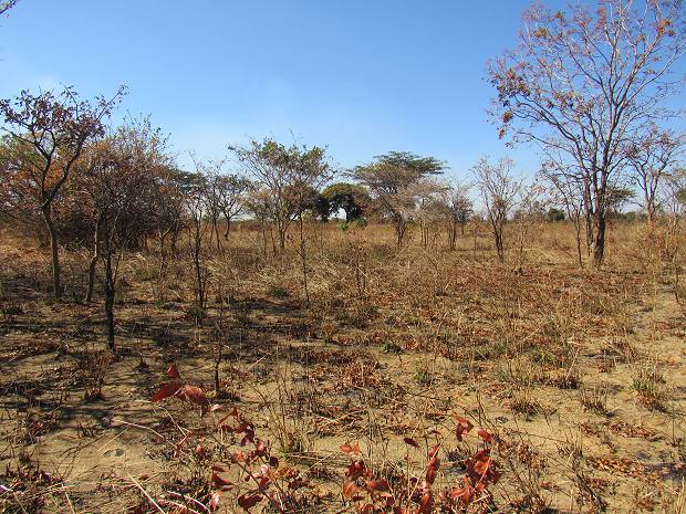 Land in Sambia zum Kaufen